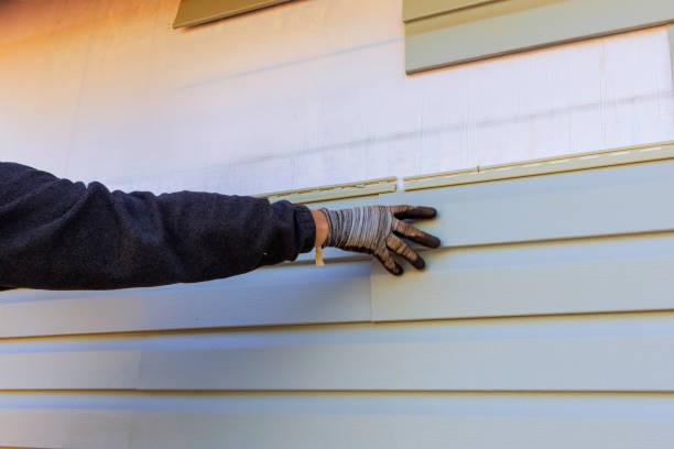 Best Historical Building Siding Restoration  in Henderson, TN