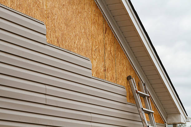 Best Storm Damage Siding Repair  in Henderson, TN